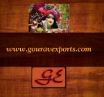 agra/gourav-exports-kamla-nagar-agra-331812 logo
