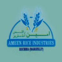 Ameen Rice Industries