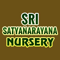 Sri Satyanarayana Nursery