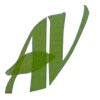 A.V. Enterprises