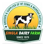 Singla Dairy Farm