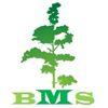 BMS Enterprises