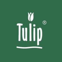 Tulip International Institute for Cosmetology & Wellness