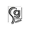 delhi/sg-india-395977 logo