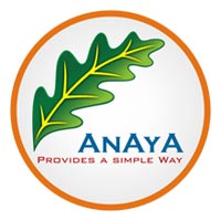 Anaya Automation & Components Private Limited