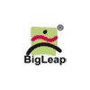 Bigleap Solutions Pvt Ltd