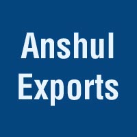 delhi/anshul-exports-lajpat-nagar-delhi-46321 logo