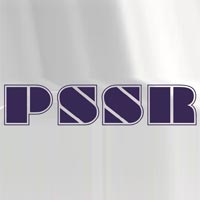 hisar/p-s-raj-steels-pvt-ltd-484494 logo