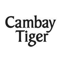 Cambay Tiger