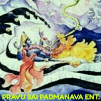 PRAVU SAI PADMANAVA ENTERPRISE