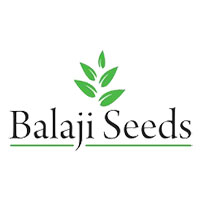 Balaji Seeds