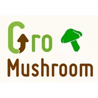 GROMUSHROOM