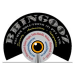 Bhingooz Techex Solutions India Pvt. Ltd.