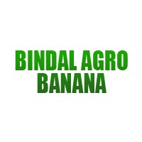 Bindal Agro Banana