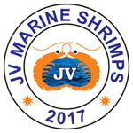 JV Marine Shrimps