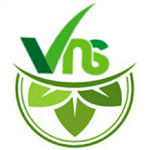 VNS AYURVEDA