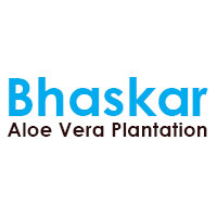 Bhaskar Aloe Vera Plantation