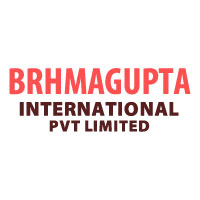 Brhmagupta International Pvt Limited