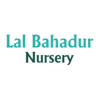 Lal Bahadur Nursery