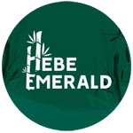 Hebe Emerald Pvt Ltd