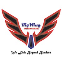 BigWing International