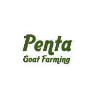 Penta Export House