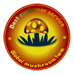 Global mushroom farm