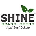 Shine Brand Seeds