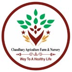 jaipur/choudhary-agriculture-farm-nursery-bassi-jaipur-7414536 logo