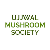 Ujjwal Mushroom Society