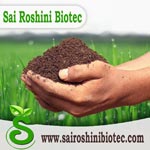 Sai Roshini Biotec