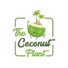 The Coconut Plant