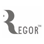 REGOR SURGICALS INDIA