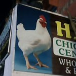 H A chicken center