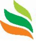 singrauli/sr-flyers-textile-industry-pvt-ltd-mundi-khandwa-8488433 logo