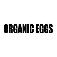 Organic Eggs