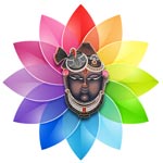 ahmedabad/shreenath-dye-chem-vatva-ahmedabad-8682628 logo