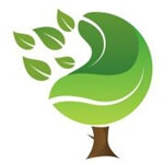 delhi/km-green-vision-9064659 logo