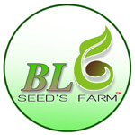 BL seeds farm