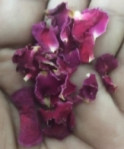 RTVR DRIED PANNEER ROSE PETALS