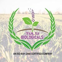bhopal/tulsi-biologicals-misrod-bhopal-9574580 logo