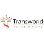 TRANSWORLD SERVICES AP PVT LTD