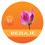 BERAJE MASALA PRIVATE LIMITED