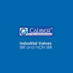 caliber valves pvt ltd