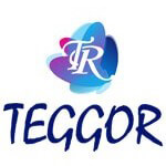 Teggor INC