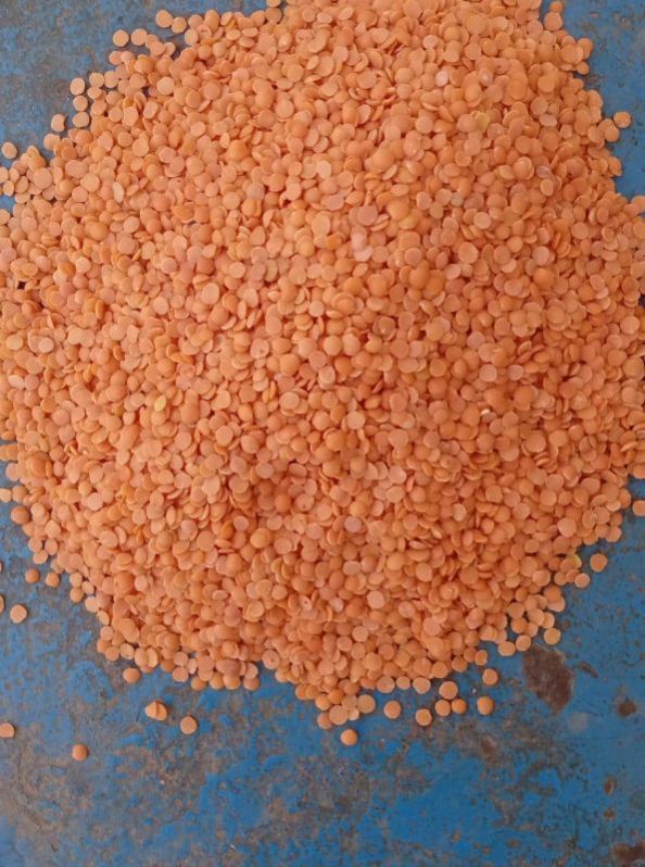 Wholesale Red Split Lentils Supplier Red Split Lentils Distributor From