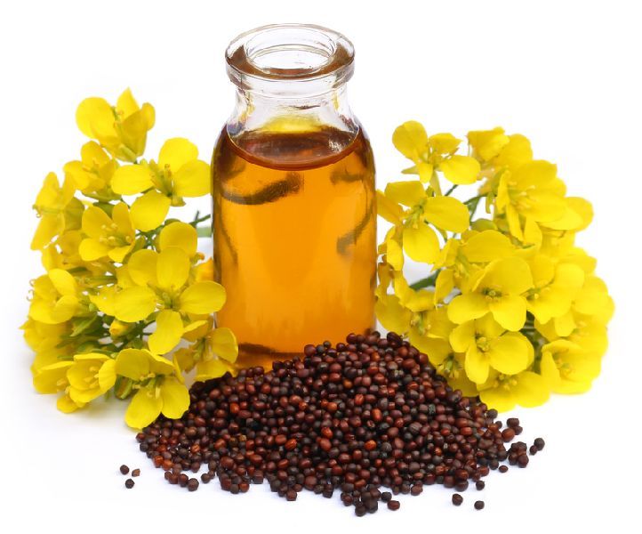 Mustard Oil 02