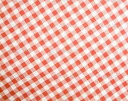 Checked Fabric
