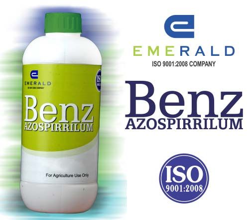 Azospirillum Biofertilizer