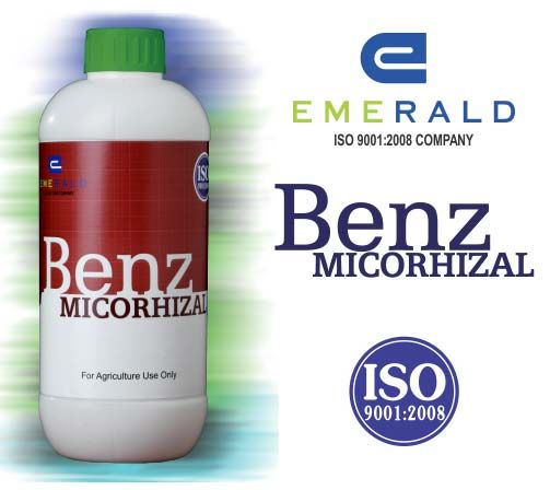 Mycorrhizal Biofertilizer